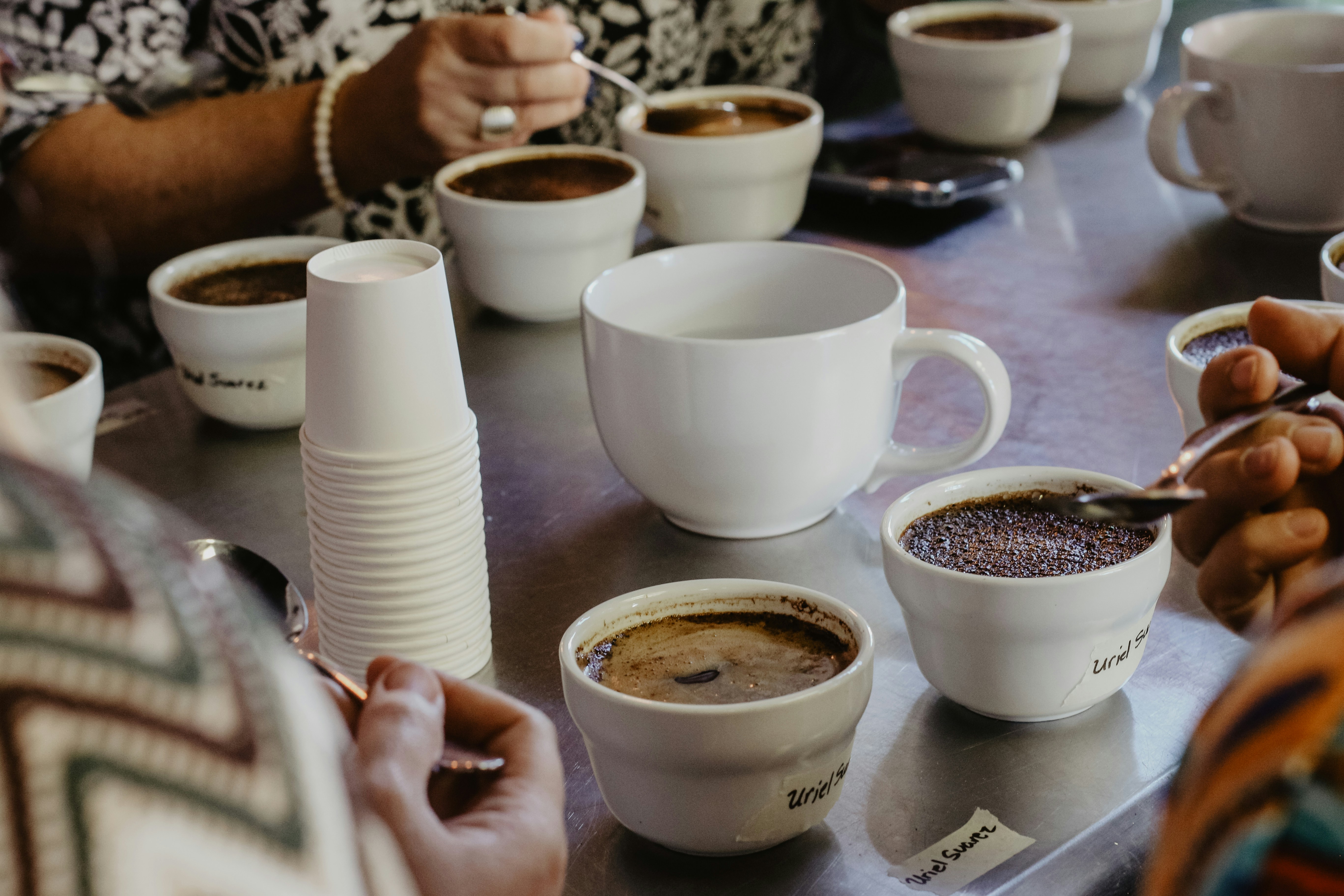 Specialty Coffee Cupping Bowls and Sensory Tasting Session
