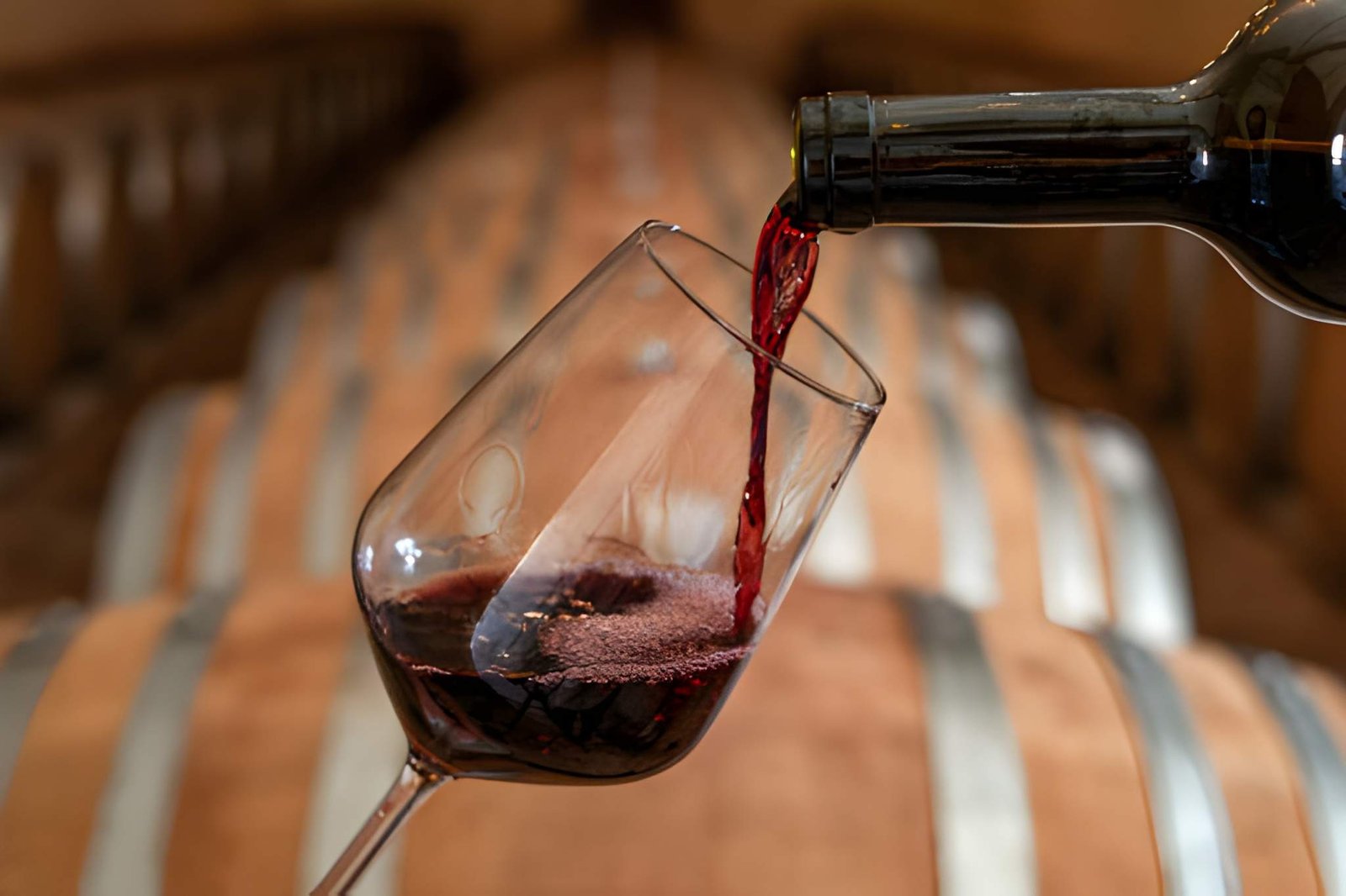 Sommelier Training